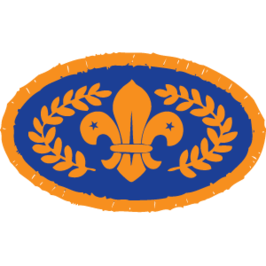 Beavers Bronze CSA Awards