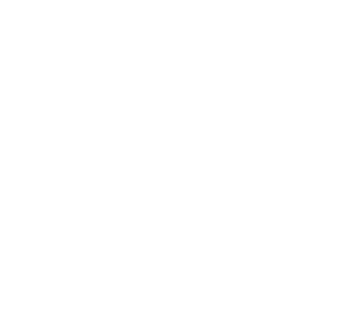 scouts_logo_marque_white